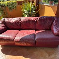 Divani in pelle