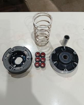 variatore frizione rulli Malossi 