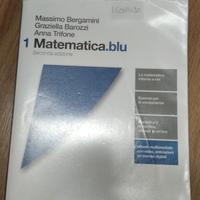 matematica.blu 1