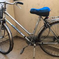 Bicicletta 