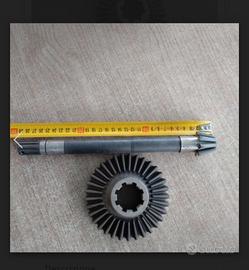 Coppia conica Pasquali 946