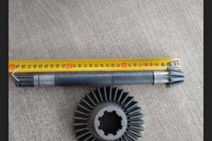 Coppia conica Pasquali 946