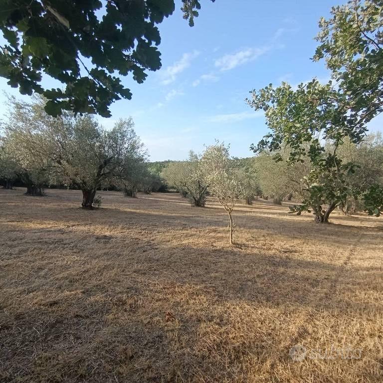 Terreno di 9710 m² a Blera - Altro