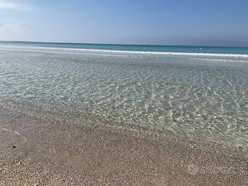 Baia verde bilocale da oggi all'8 agosto