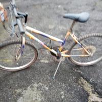 bicicletta bimba