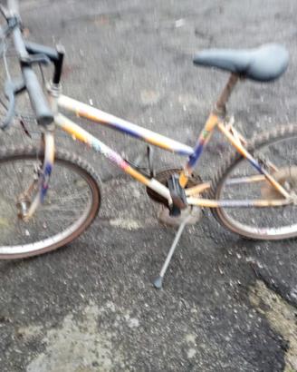 bicicletta bimba
