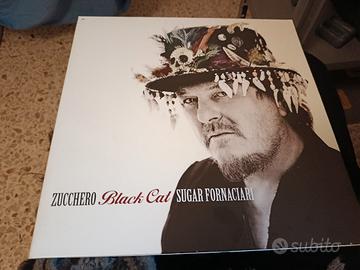 LP zucchero Black cat