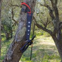 Potatore e giardiniere