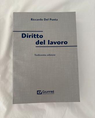 Diritto del lavoro riccardo del punta 13 edizione