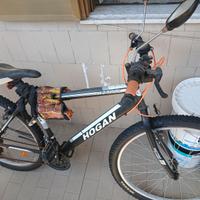 Bici hogan
