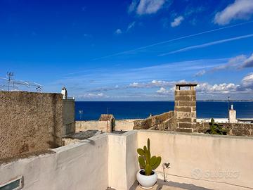 Abitazione ristrutturata con terrazza panoramica