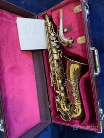 Saxofono contralto king zephyr full pearls