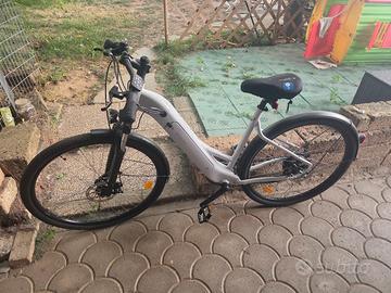 bicicletta elettrica