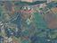 Immagine 14