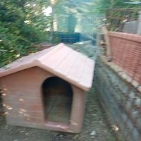 cuccia per cani di grossa taglia 