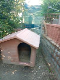 cuccia per cani di grossa taglia 