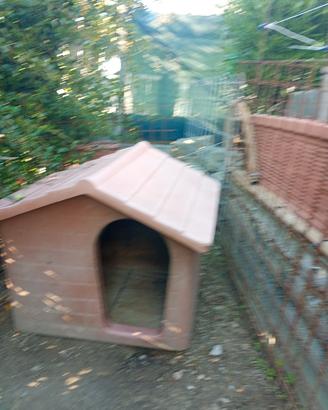 cuccia per cani di grossa taglia 