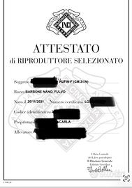 Disponibile per monte