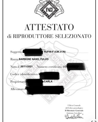 Disponibile per monte