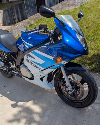 Suzuki GS 500 F