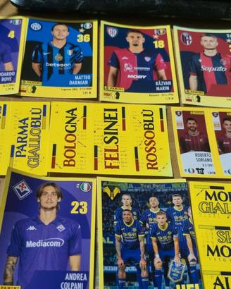5687-Lotto Calciatori Panini 2024-2025 N.3
