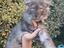 Immagine 5