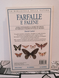 Libro Farfalle E Falene. David Carter. Anno 2003
