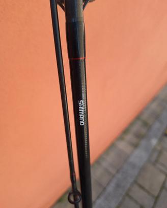 canna da pesca alla trota 