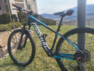 Torpado Nearco, S, telaio carbonio, forcelle 