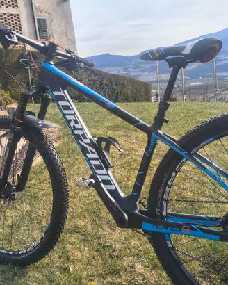 Torpado Nearco, S, telaio carbonio, forcelle 