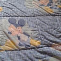 Trapunta inverno Disney