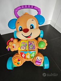 cagnolino primi passi