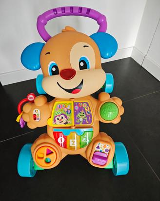 cagnolino primi passi