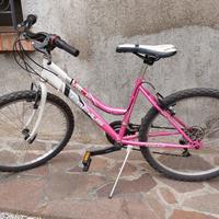 Bicicletta da bimba