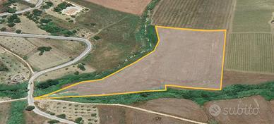 Terreno Agricolo C/Da Balata di Baida