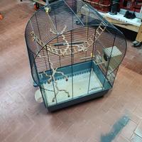 Voliera Gabbia x uccelli