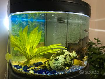 Acquario completo