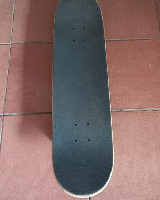 SKATE PROFESSIONALE