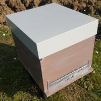 ARNIA ARTIGIANALE 10 FAVI