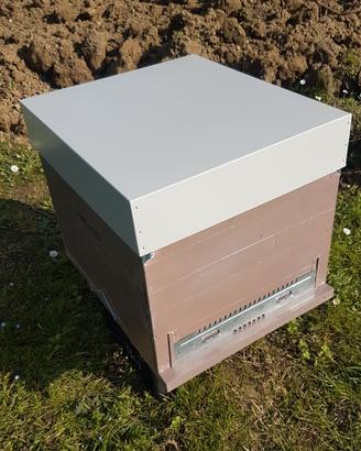 ARNIA ARTIGIANALE 10 FAVI