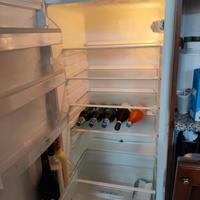 Frigo da Incasso Electrolux 