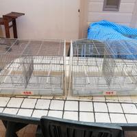 Gabbie da 55 cm / 110 cm 