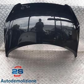 COFANO ANTERIORE PEUGEOT 307 (01-05)