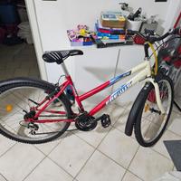 Mountain bike 18"