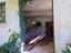 Immagine 24