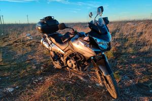 Suzuki V Strom 650 - 2009