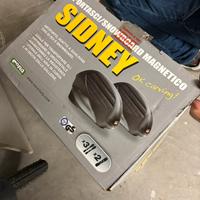 Portasci / snowboard magnetico