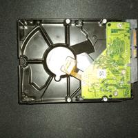 Hard Disk Interno 1TB Western Digital Blue | 7200 