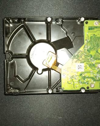 Hard Disk Interno 1TB Western Digital Blue | 7200 