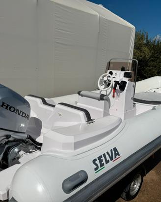 Selva D570 EVO Perfetto con Honda BF100